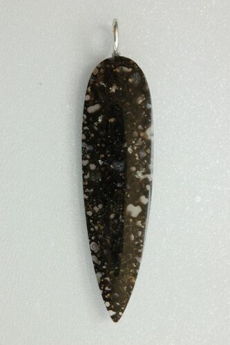 Black Agatized Dinosaur Bone Spear Pendant #4276